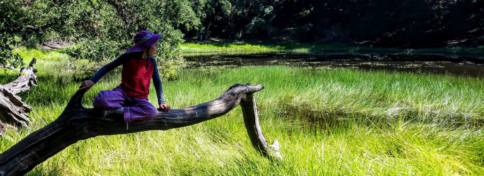Girl on tree branch looking at pond with green vegetation | Big Mamabear