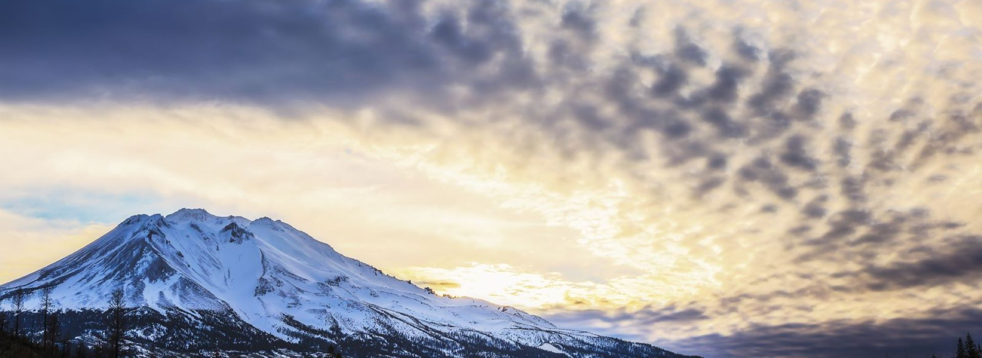 Mt. Shasta at sunset the sky is the limit | Big Mamabear